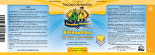 NSP | SH Bifidophilus, For Kids (90 Chewable Tablets)