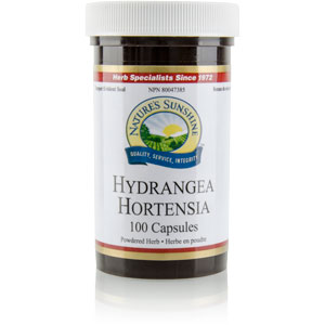 NSP | Hydrangea, 325 mg (100 Capsules)