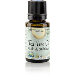 NSP | Essential Oil, Tea Tree (14 ml)